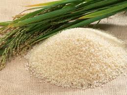 Riz réserve mondiale à son plus haut niveau en 12 ans